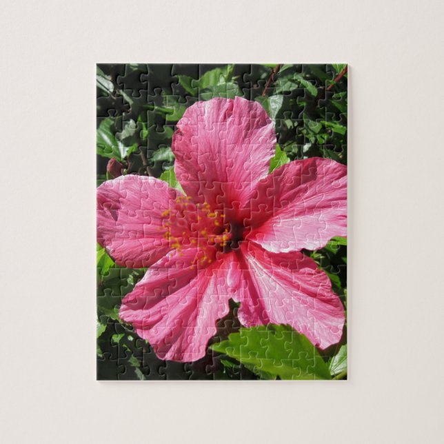 Dunkler rosa Hibiskus (Vertikal)