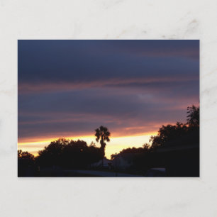 Dunkler Sonnenuntergang und eine Palme auf einer P Postkarte