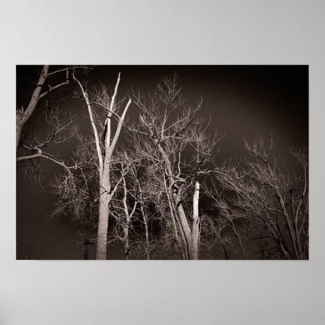 Dunkler Wald – Unheimliche Schwarz-Weiß-Baum-Kunst Poster (Vorne)