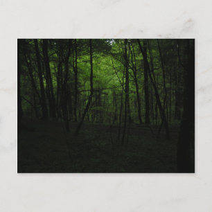 Dunkler Wald verlassen Postkarte