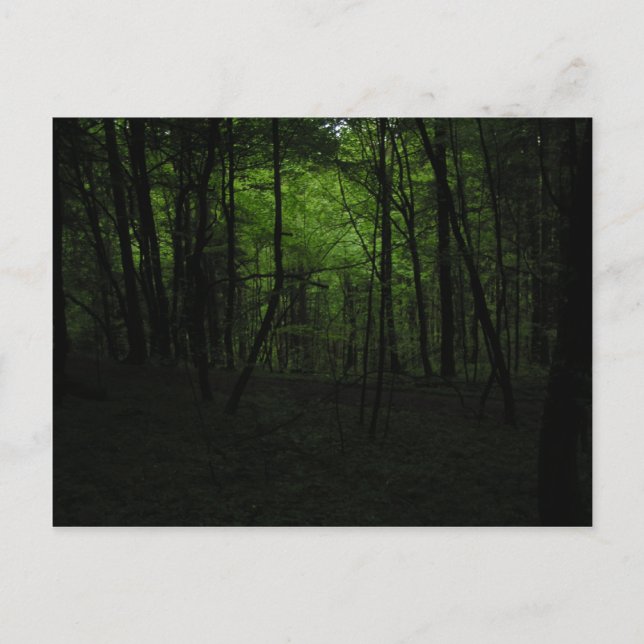 Dunkler Wald verlassen Postkarte (Vorderseite)