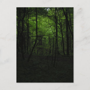 Dunkler Wald verlassen Postkarte