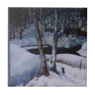 Dunkler Wintertag auf schneebedecktem Elk River Fliese