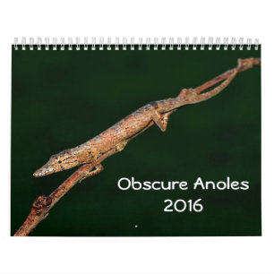 Dunkles Anoles 2016 - eine Anole Kalender
