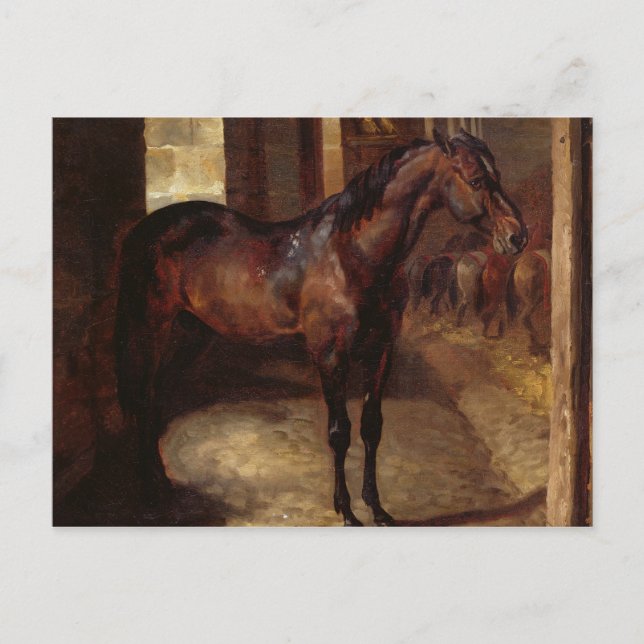 Dunkles Bay Pferd im Stall Postkarte (Vorderseite)