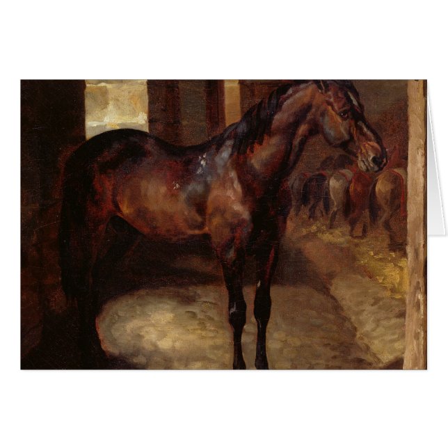 Dunkles Bucht-Pferd im Stall (Vorderseite (Horizontal))