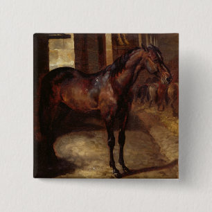 Dunkles Bucht-Pferd im Stall Button