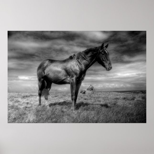 Dunkles Horse Poster (Vorne)