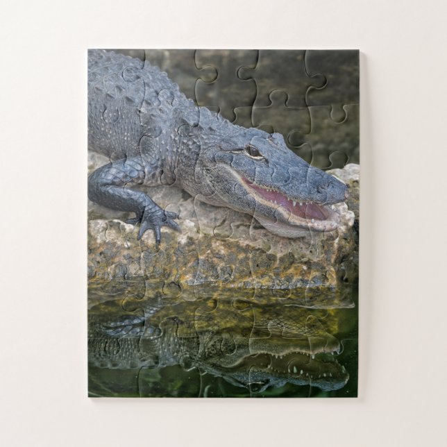 Dunkles Krokodil mit klarer Reflektion im Wasser (Vertikal)