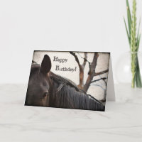 Dunkles Pferd glücklich Geburtstag Gruß