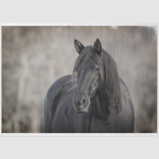 Dunkles Pferd Seidenpapier