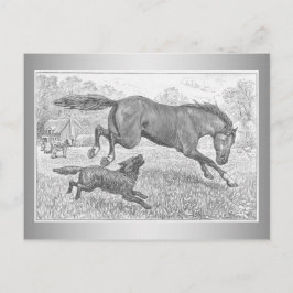 Dunkles Pferd und Hund Postkarte