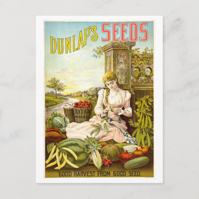 Dunlap's Vintage pflanzliche Saatgutwerbung Postkarte (Vorderseite)
