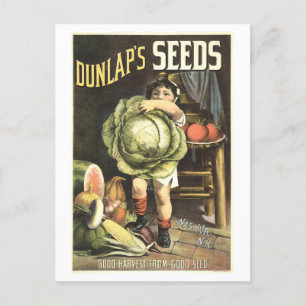 Dunlap's Vintage pflanzliche Saatgutwerbung Postkarte