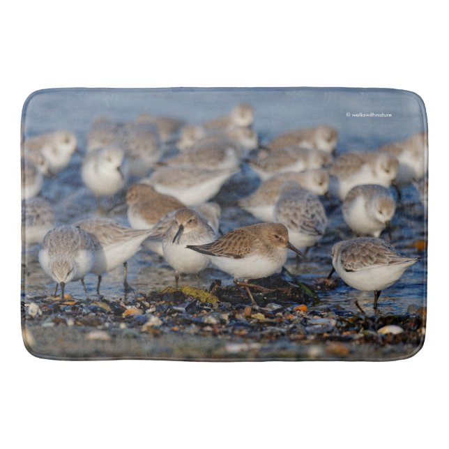 Dunlins und Sanderlings am Strand Badematte (Vorderseite)