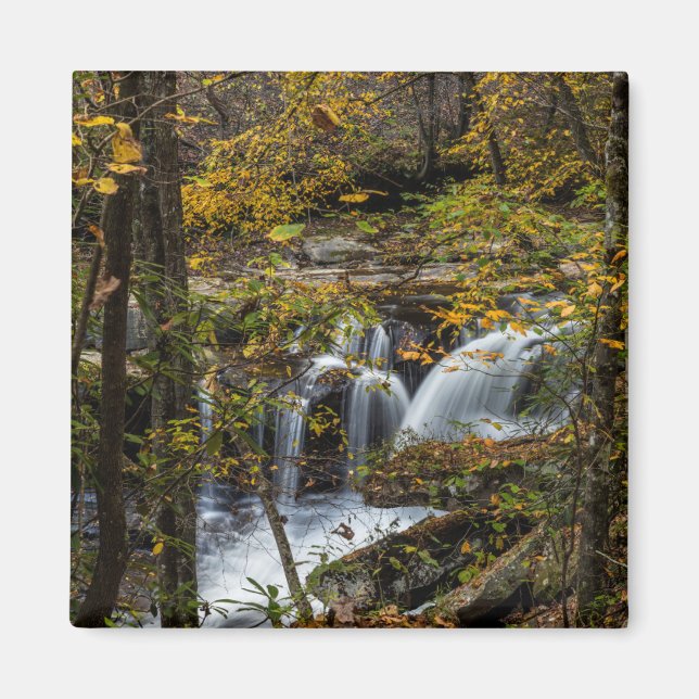 Dunloup Creek Falls | West Virginia Magnet (Vorne)