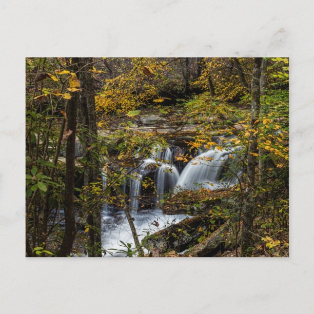 Dunloup Creek Falls | West Virginia Postkarte (Vorderseite)