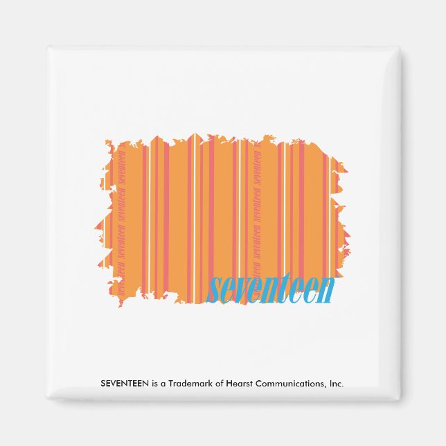 Dünne Streifen Orange 2 Magnet (Vorne)