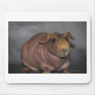 Dünnes Schwein Mousepad