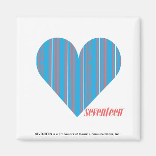 Dünnes Streifen-Aqua 3 Magnet