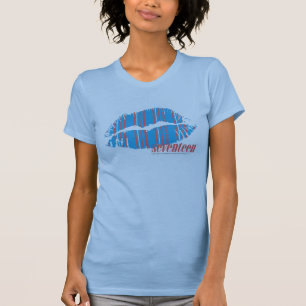 Dünnes Streifen-Aqua T-Shirt