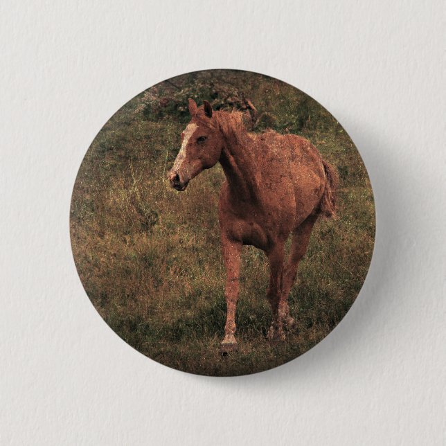 Dunnit Button (Vorderseite)