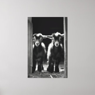 Duo monochromatischer Babyziegen Stehend Leinwanddruck