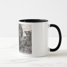 DuPont Historic Village Tasse