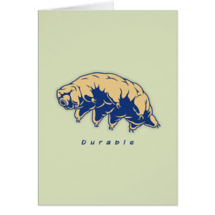 Durable - Tardigrade