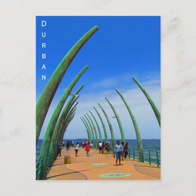 Durban whalebone pie postkarte (Vorderseite)