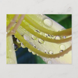 Durch das Blickfeld Postkarte