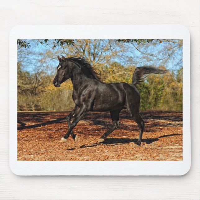 Durch das Herbst-Blätter Mousepad (Vorne)