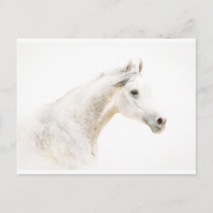 Durch den Nebel Postkarte