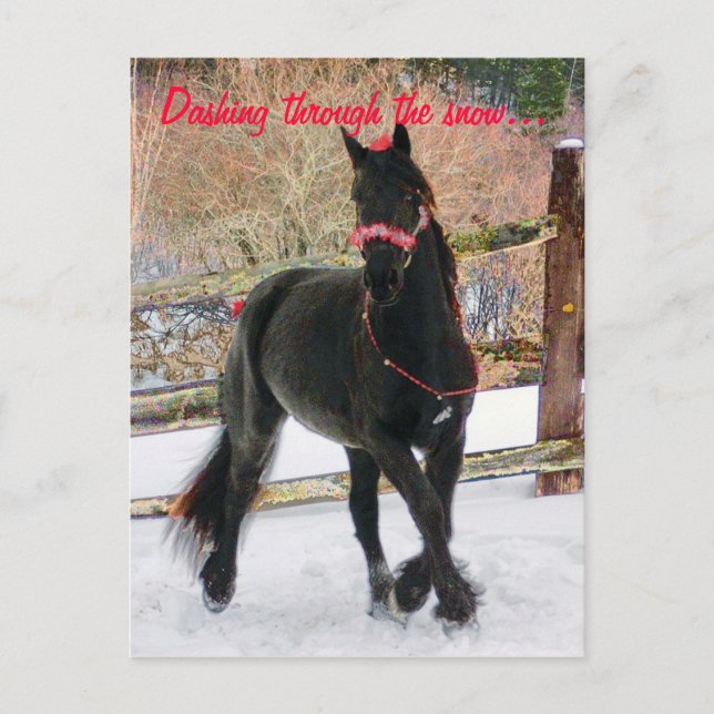 Durch den Schnee stürzen... Postkarte (Vorderseite)
