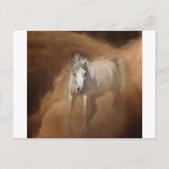 Durch den Staubsturm Postkarte (Vorderseite)