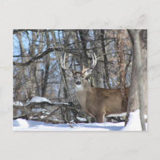 DURCH DEN TIEFEN SCHNEE POSTKARTE