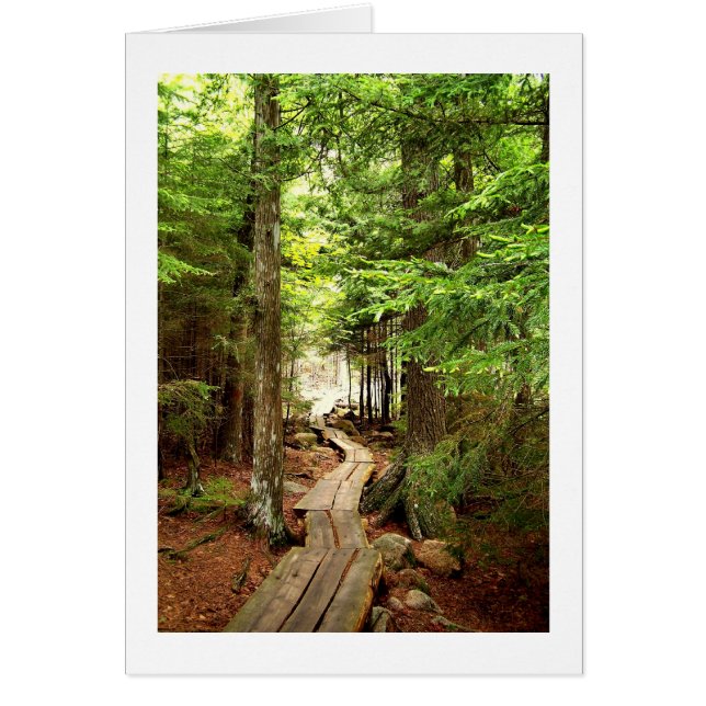 Durch den Wald (Vorne)