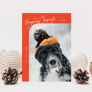 Durch den Winter Hund Foto Rote Weihnachten