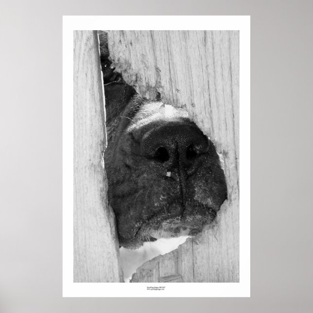 Durch den Zaun Poster (Vorne)