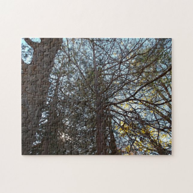 Durch die Branchen (Horizontal)