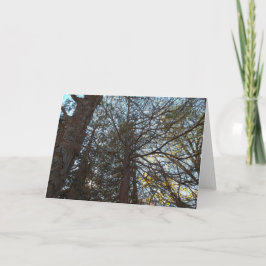 Durch die Branchen Karte