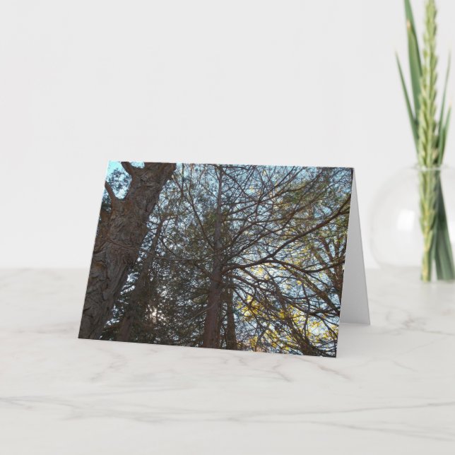 Durch die Branchen Karte (Vorderseite)