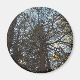 Durch die Branchen Magnet