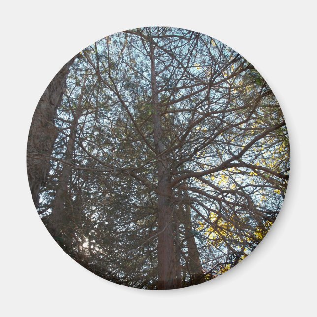 Durch die Branchen Magnet (Vorne)