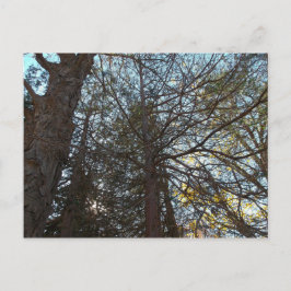 Durch die Branchen Postkarte