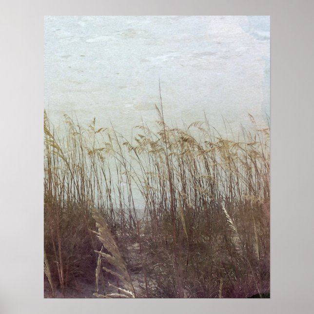 Durch die Dünen II Poster (Vorne)