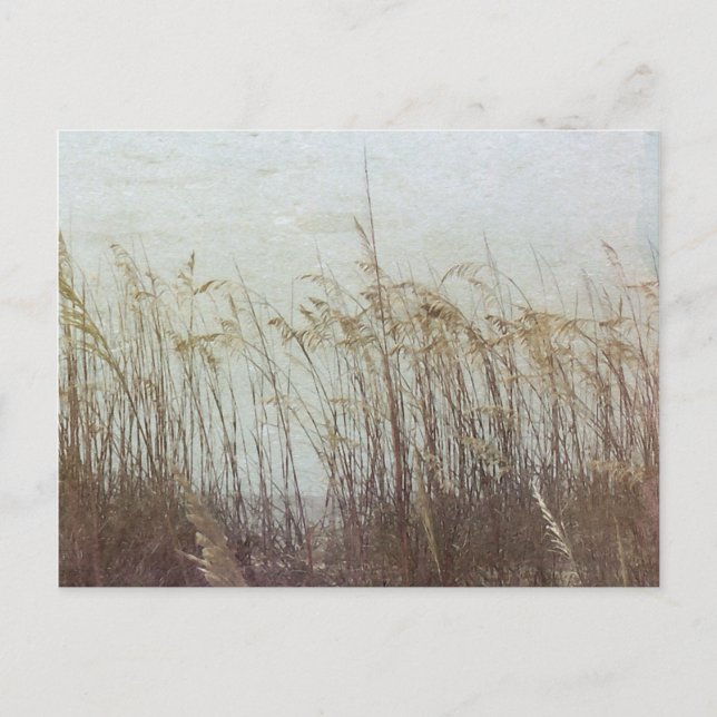 Durch die Dünen II Postkarte (Vorderseite)