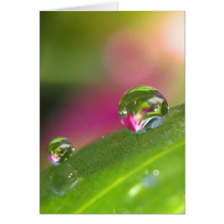 Durch die Spiegel-Karte