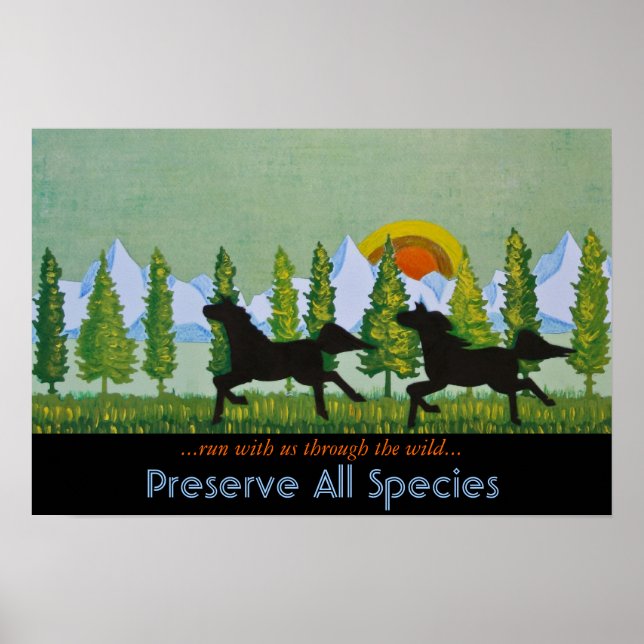 Durch die Wildnis Poster (Vorne)