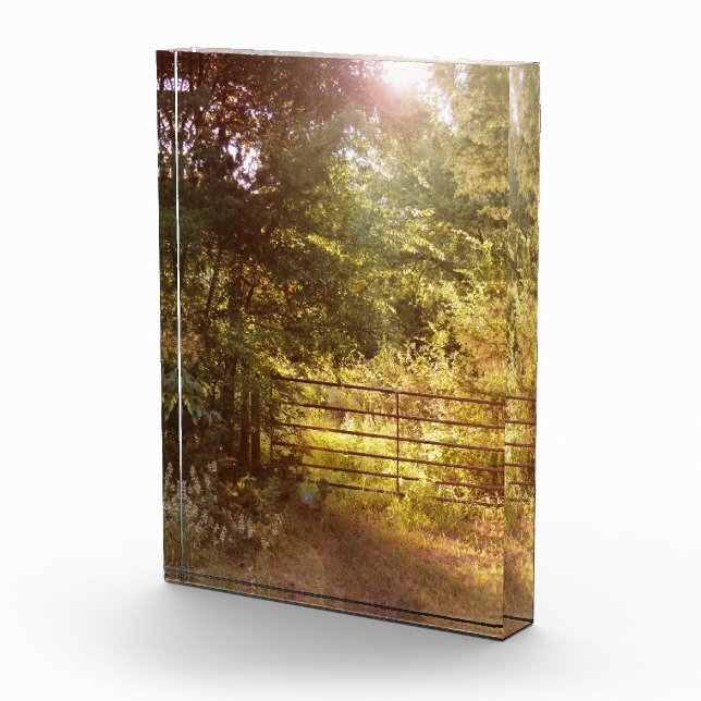 Durch einen Foto für das Landtor (Rechts)